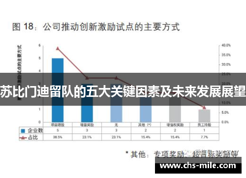 苏比门迪留队的五大关键因素及未来发展展望 苏比门迪留队的五大关键因素及未来发展展望
