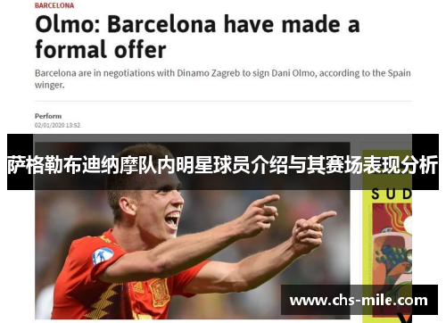 萨格勒布迪纳摩队内明星球员介绍与其赛场表现分析