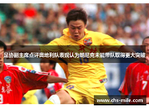 足协副主席点评奥地利队表现认为朗尼克未能带队取得更大突破 足协副主席点评奥地利队表现认为朗尼克未能带队取得更大突破