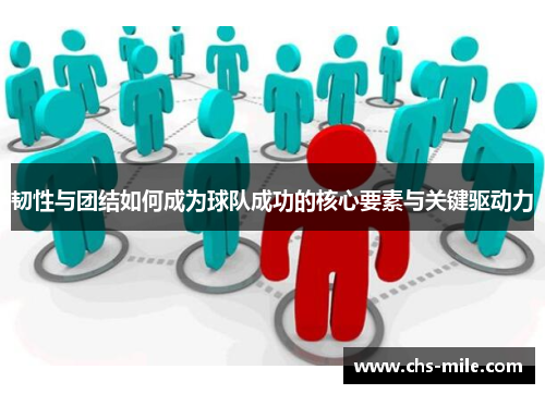 韧性与团结如何成为球队成功的核心要素与关键驱动力