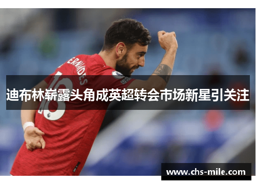 迪布林崭露头角成英超转会市场新星引关注 迪布林崭露头角成英超转会市场新星引关注