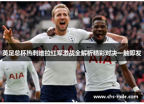 英足总杯热刺维拉红军激战全解析精彩对决一触即发 英足总杯热刺维拉红军激战全解析精彩对决一触即发