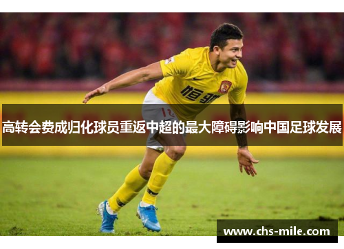 高转会费成归化球员重返中超的最大障碍影响中国足球发展 高转会费成归化球员重返中超的最大障碍影响中国足球发展
